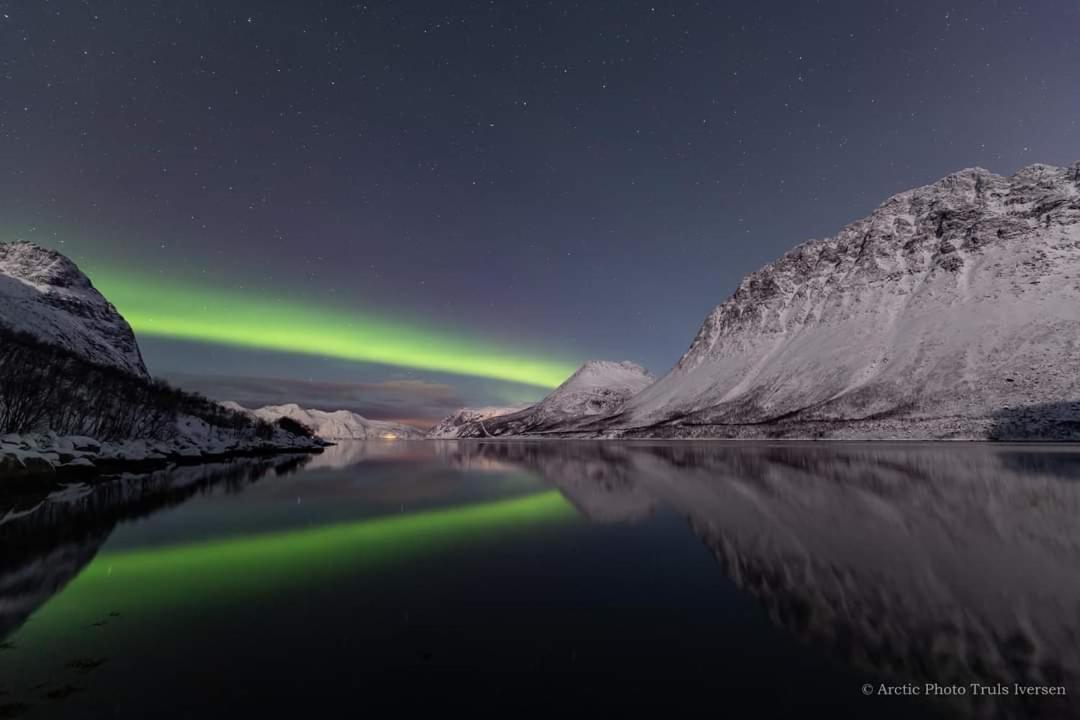 Sea & Mountain View Apartment Tromsø Exteriér fotografie